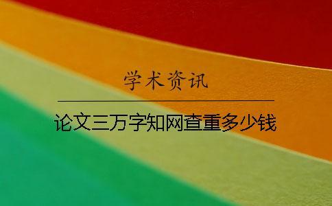 論文三萬字學術查重多少錢？