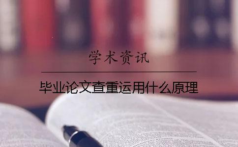 畢業(yè)論文查重運(yùn)用什么原理