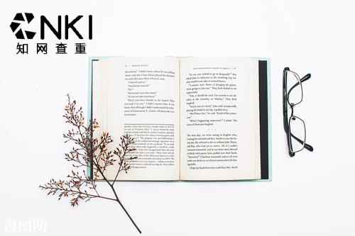 人工降重會泄露論文嗎？(圖1)
